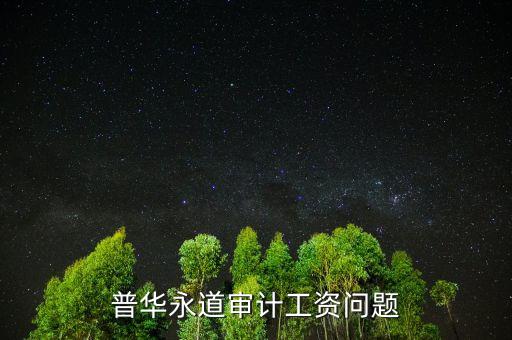 普華審計(jì)做什么，普華永道審計(jì)工資問題