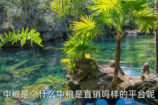 中糧明誠(chéng)是什么，你好請(qǐng)問(wèn)你在中糧生化衡水有限公司應(yīng)聘成功了嗎這個(gè)公司是