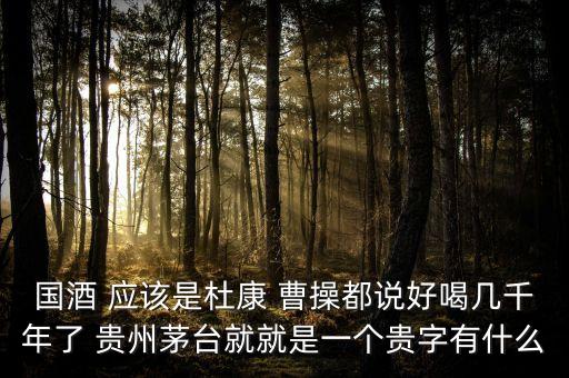 為什么不拿杜康當國酒，為什么杜康酒沒有成為中國十大名酒之一