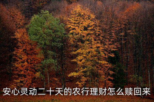 安心靈動20天什么時(shí)候可以贖回，安心靈動二十天的農(nóng)行理財(cái)怎么贖回來