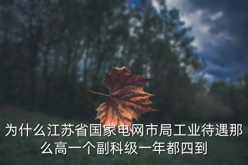電力住房公積金為什么高，國家電網(wǎng)正式工公積金800元高嗎