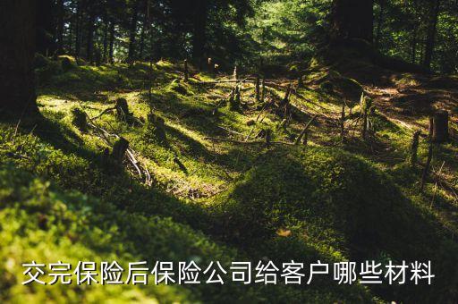 交完車險都給什么東西，交完保險后保險公司給客戶哪些材料