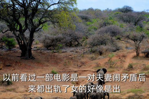 候永財(cái)執(zhí)導(dǎo)過(guò)什么電影，以前看過(guò)一部電影是一對(duì)夫妻鬧矛盾后來(lái)都出軌了女的好像是出