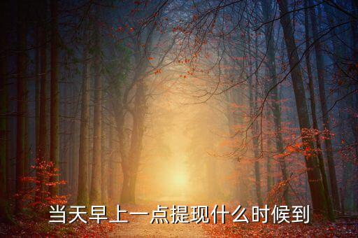 海納幣什么時(shí)候提現(xiàn)，你們那里說(shuō)什么時(shí)候可以提現(xiàn)嗎