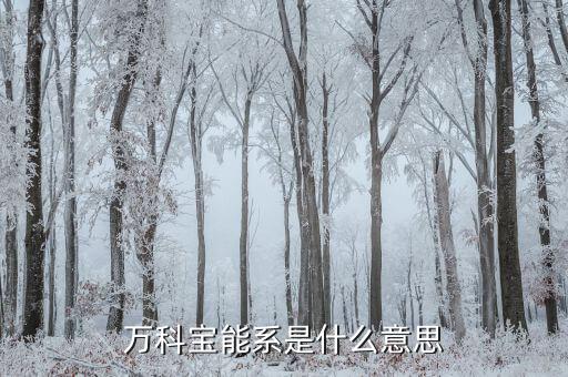 萬科寶能系是什么，寶能系與萬科什么關(guān)系