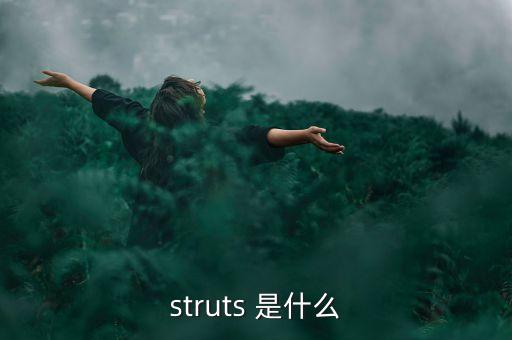 什么是中植系，struts 是什么
