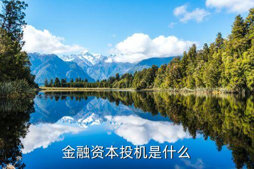 什么是金融投機(jī)，金融資本投機(jī)是什么