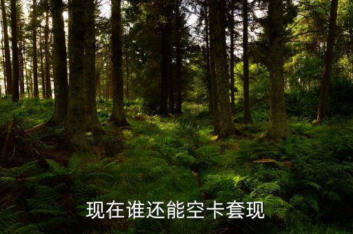 什么地方可以空卡套現(xiàn)，誰知道煙臺(tái)地區(qū)有辦理空卡套現(xiàn)的么