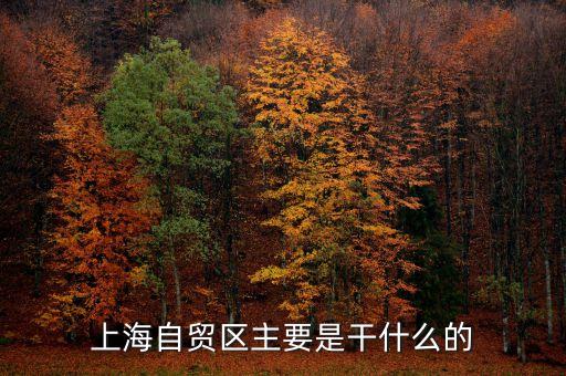 自貿(mào)區(qū)是干什么的，自貿(mào)區(qū)是做什么的