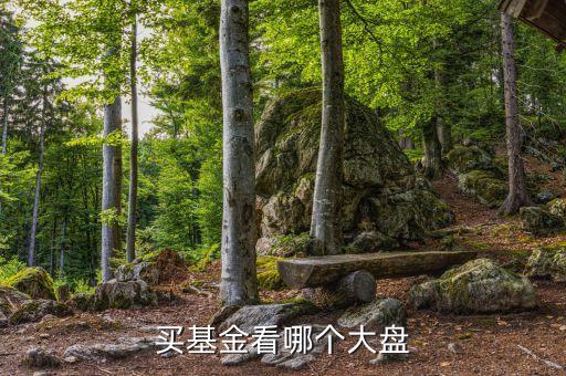 基金看什么大盤走勢，買基金看哪個大盤
