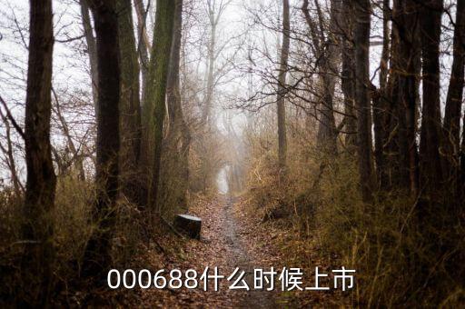鼎盛財(cái)富什么時候上市，000688什么時候上市