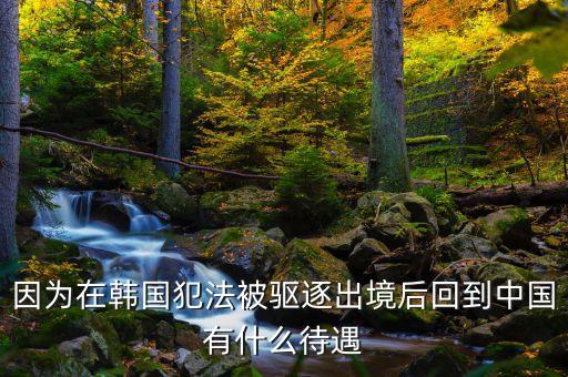 在國外犯罪逃回國有什么后果，逃犯持外國護照回國會怎樣
