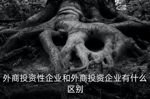 什么是投資性公司，外商投資性企業(yè)和外商投資企業(yè)有什么區(qū)別