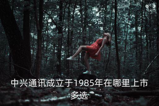 中興第一代手機什么時間上市，中興 Grand X IN 什么時候上市