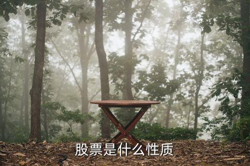 股票性質(zhì)是什么，股票的性質(zhì)有哪些