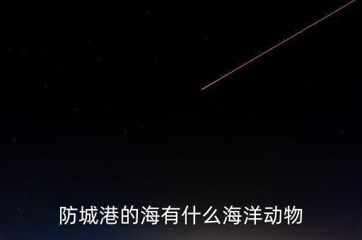 什么是沿邊金融，防城港的海有什么海洋動(dòng)物