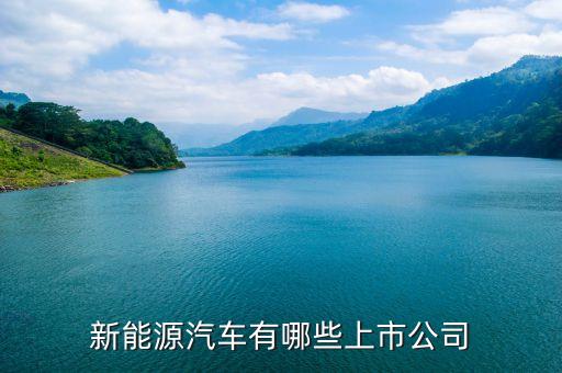 上汽集團(tuán)什么時候上市，上汽集團(tuán)股票的發(fā)行價格是多少