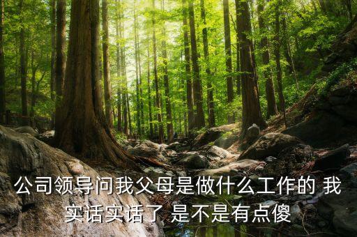 公司問(wèn)父母是做什么的，公司領(lǐng)導(dǎo)問(wèn)我父母是做什么工作的 我實(shí)話實(shí)話了 是不是有點(diǎn)傻