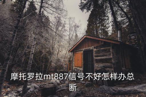 香港為什么要直選，iPhone4 真的會(huì)被三星Galaxy S2i9100秒殺嗎如果給你選你會(huì)選