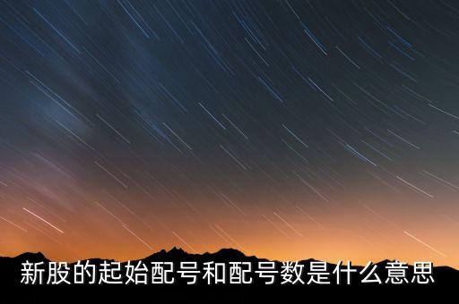 新股申購起始配號是什么意思，新股起始配號是什么意思配號21是什么意思