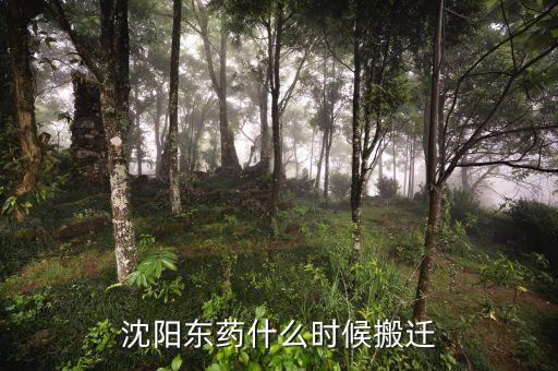 有沈陽東北制藥搬遷是什么時候嗎，沈陽東藥什么時候搬遷