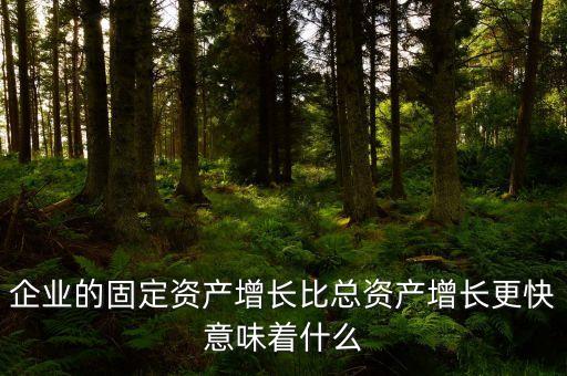 固定資產(chǎn)增長說明什么，流動資產(chǎn)固定資產(chǎn)長期投資都增加從公司資產(chǎn)規(guī)模及變動趨勢