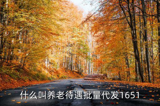 什么叫代發(fā)養(yǎng)老金，養(yǎng)老金代發(fā)機(jī)構(gòu)是指什么