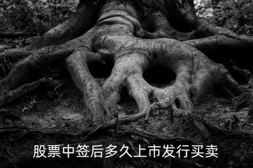 300512什么時(shí)候上市交易，股票中簽后多久上市發(fā)行買賣