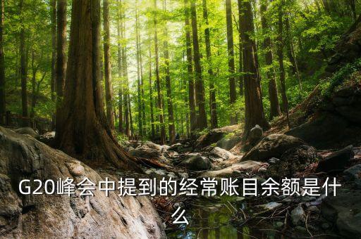 什么是經(jīng)常項(xiàng)目余額，經(jīng)常項(xiàng)目差額的什么是經(jīng)常項(xiàng)目差額