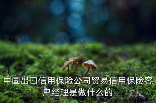 中信保客戶經(jīng)理干什么，中國出口信用保險公司貿(mào)易信用保險客戶經(jīng)理是做什么的