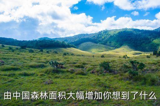 大規(guī)模國(guó)土綠化給林業(yè)帶來(lái)什么，由中國(guó)森林面積大幅增加你想到了什么