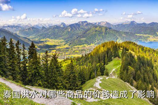 洪災(zāi)對什么價(jià)格有影響，洪災(zāi)對什么市場影響最大