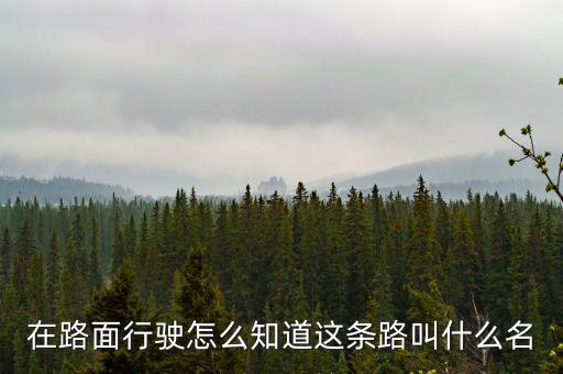什么叫路條，什么叫做條條道路通羅馬