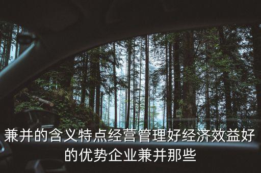 兼并的含義特點經(jīng)營管理好經(jīng)濟(jì)效益好的優(yōu)勢企業(yè)兼并那些