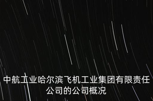 哈飛生產(chǎn)什么飛機，成飛 陜飛 哈飛 沈飛那個是中國最大的飛機制造企業(yè)