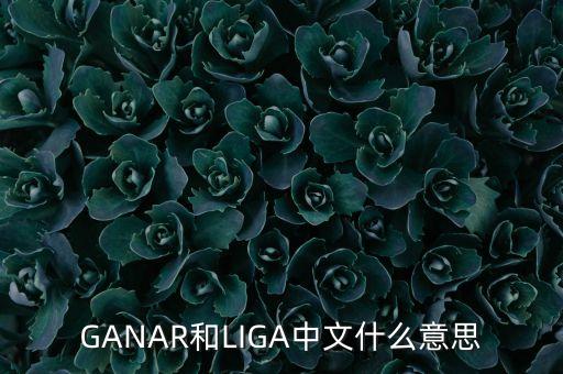 人民幣勝什么意思，韓版惡作劇之吻高中畢業(yè)勝祖跟哈妮照相時(shí)勝祖說(shuō)的錢是什么意