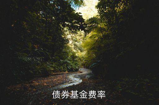 債券基金費(fèi)率什么意思，債券基金費(fèi)率