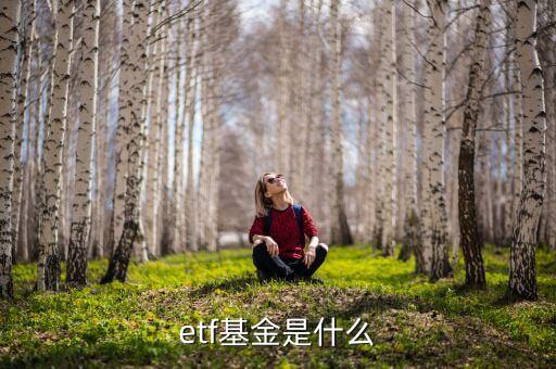 etf是什么類型的基金，ETF是什么