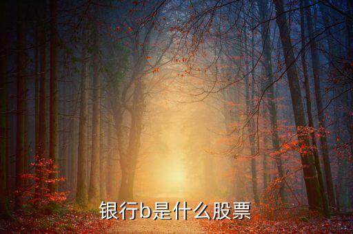 新能車b是什么股，新能車b是b股嗎會比a股風(fēng)險(xiǎn)大嗎
