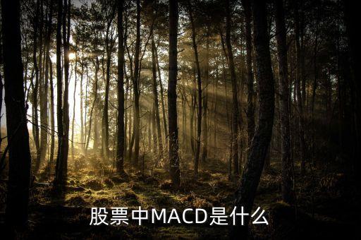 股市MACD線是什么意思，股票中MACD是什么意思