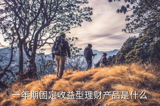 一年期理財險是什么，支付寶推一年期理財產(chǎn)品 什么意思 一年期理財是指定期存款1年