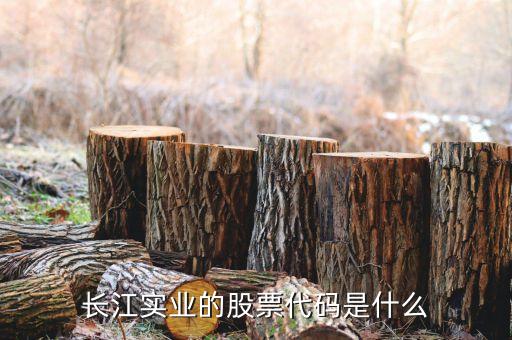 300513什么時候開盤，長江實業(yè)的股票代碼是什么