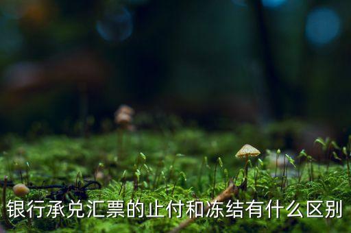 凍結(jié)止付什么意思，銀行承兌匯票的止付和凍結(jié)有什么區(qū)別