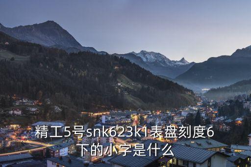 精工表中小表什么，精工手表4個(gè)小表盤(pán)是干甚么的
