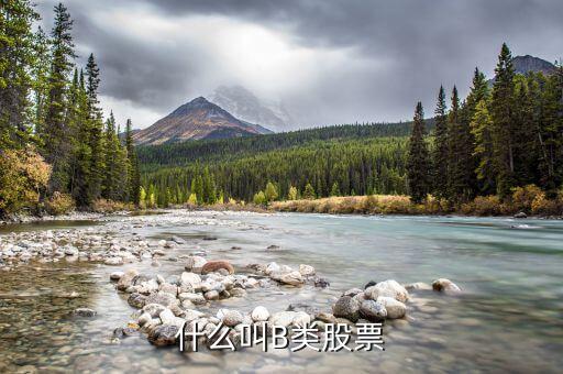 分級股b什么意思，分級基金b和b股一樣嗎