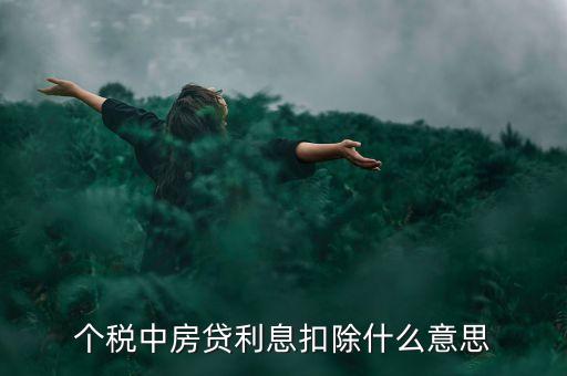 房貸利息抵扣個稅什么意思，個稅中房貸利息扣除什么意思