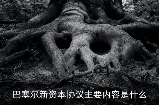 新資本協(xié)議是什么，新巴塞爾資本協(xié)議的介紹