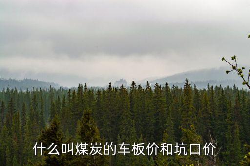 什么叫煤炭坑口價，煤炭坑口價格是什么意思呀有知道的好心人請給予答復(fù)