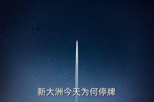 新大州a什么時候復牌，公告出來了請懂行的解釋一下什么時候可以復牌