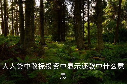 散標(biāo)是什么意思，散標(biāo)是什么